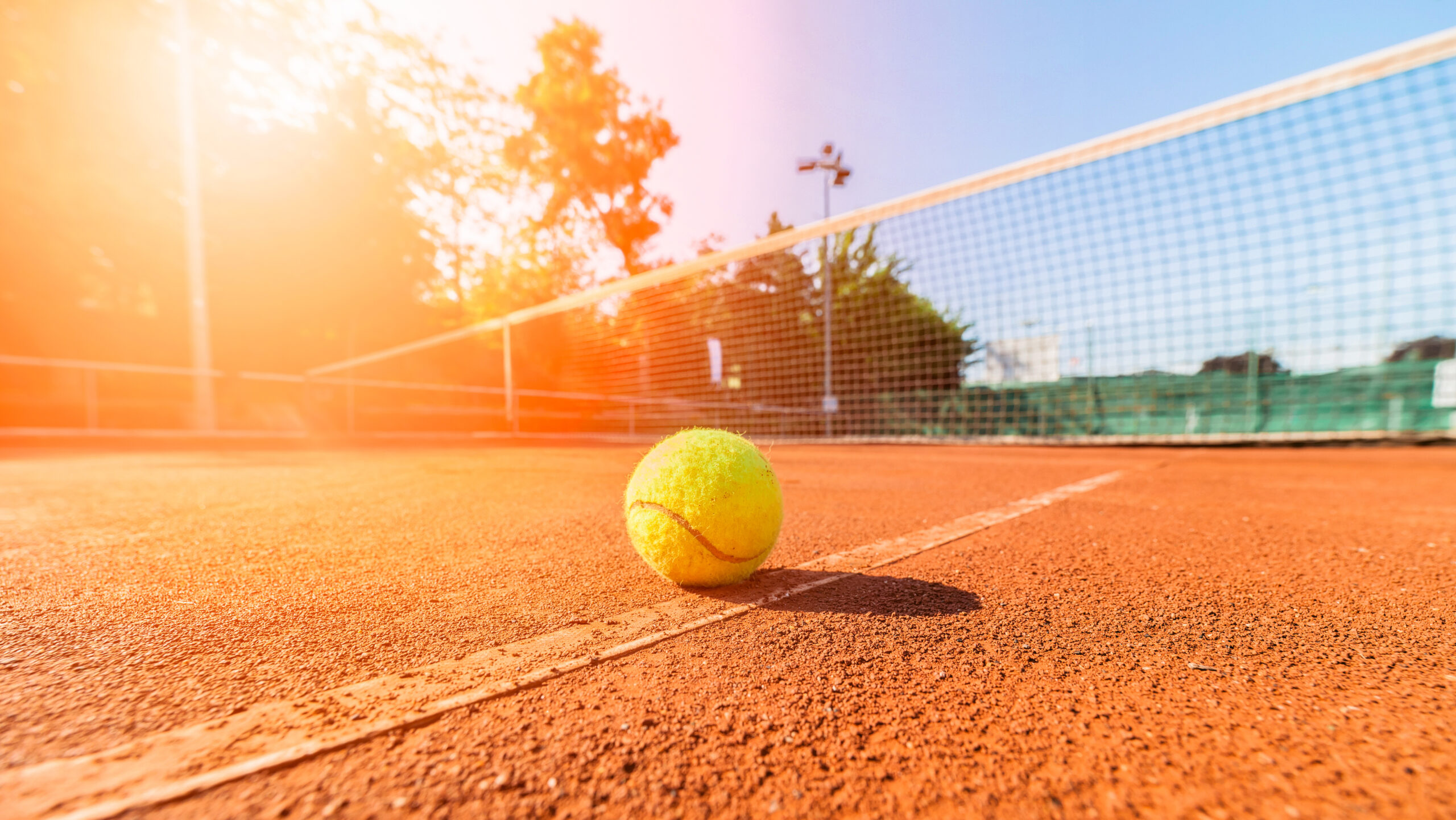 Image de couverture Introduction aux paris sur le tennis